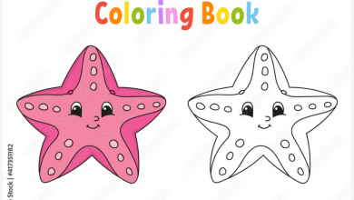 Photo of Learning Star Drawings With Easy Step by Step in 2021