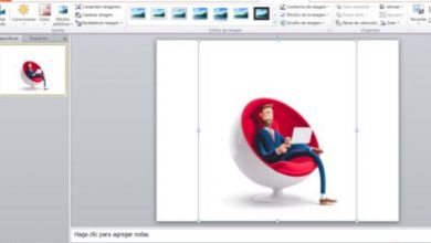 Photo of How to remove the background from an image in Photoshop or PowerPoint