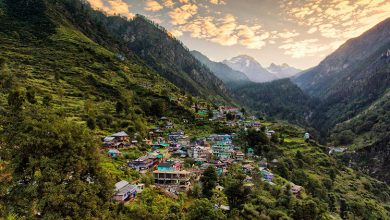 Photo of Kheerganga trek guide