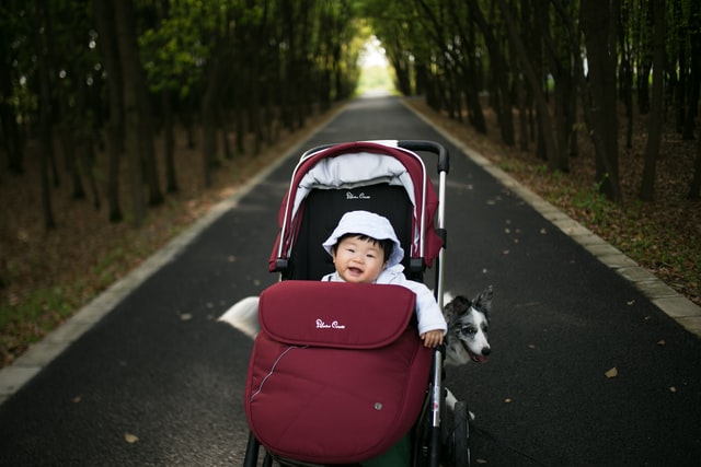 kid carrier backpack