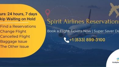 Photo of USA Vacation Places Trip with Spirit Airlines Reservations