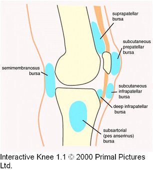 Runner's Knee