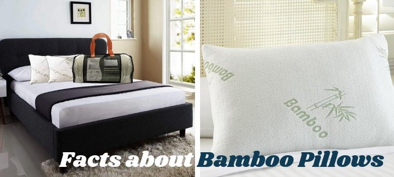 Bamboo Pillows