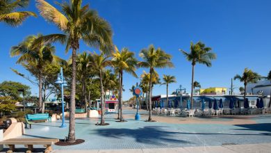 Photo of Things to do in Fort Myers, FL | Travel like a Local