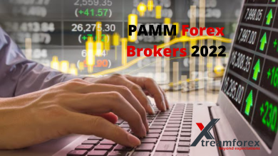 Photo of Top PAMM Forex Brokers 2022