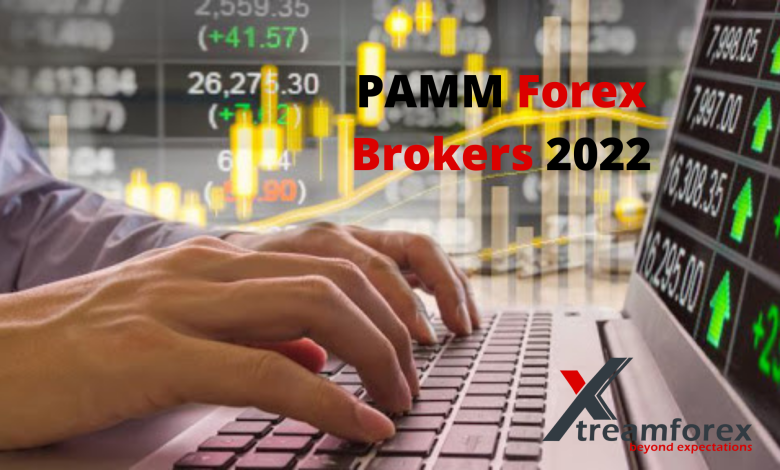 PAMM Forex Brokers 2022