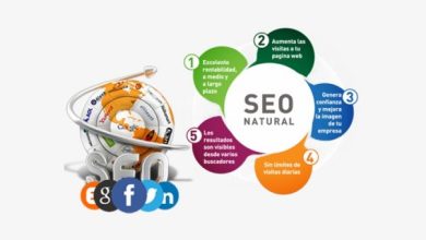 Photo of SEO Company Essential for Every Business
