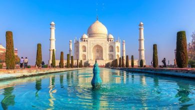 Photo of What to Try on Golden Triangle Tour India?