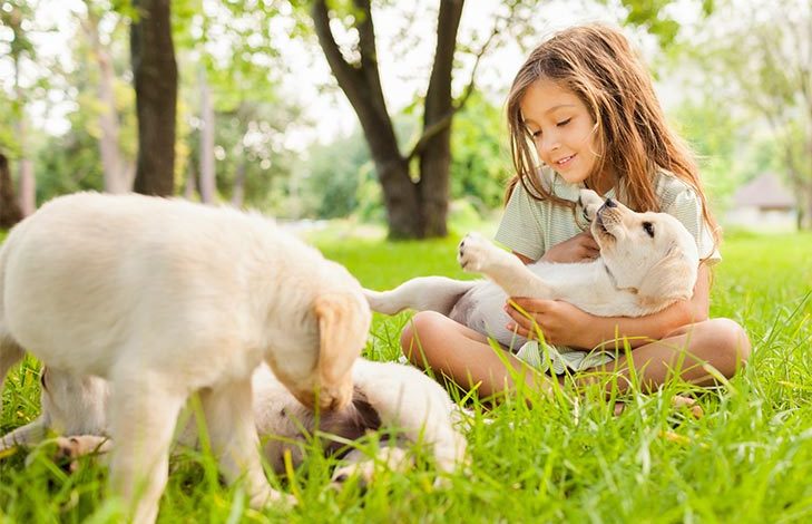 socializing-your-dogs