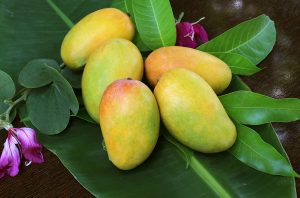 Indian-mangoes