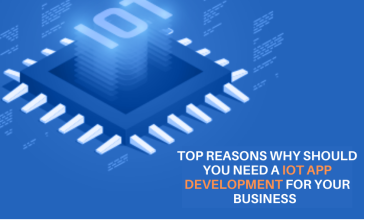 Photo of Why Should you Need an IoT App Development Company for Your Business