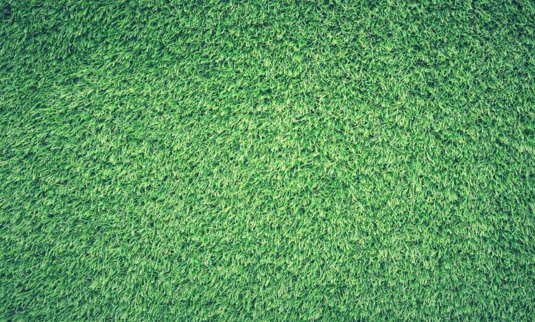 Artificial Grass