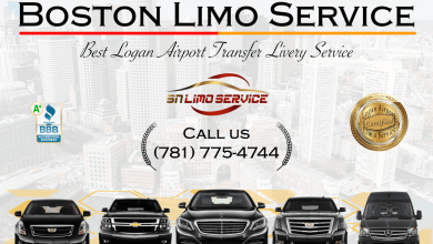 Photo of Boston Limo Service And Your Next Guided Tour In The Big Apple!